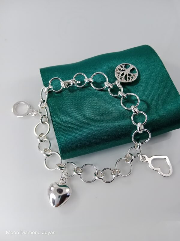 Pulsera ¨Vida¨