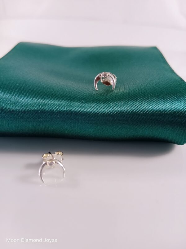 Aretes de Luna - Imagen 2